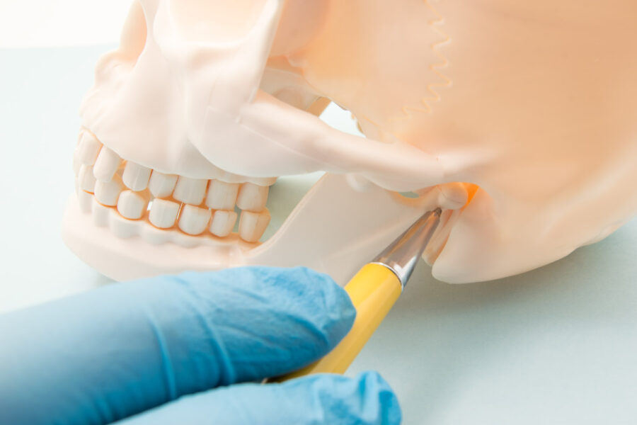 A blue gloved hand points to the TMJ, or temporomandibular joint, of the jaw